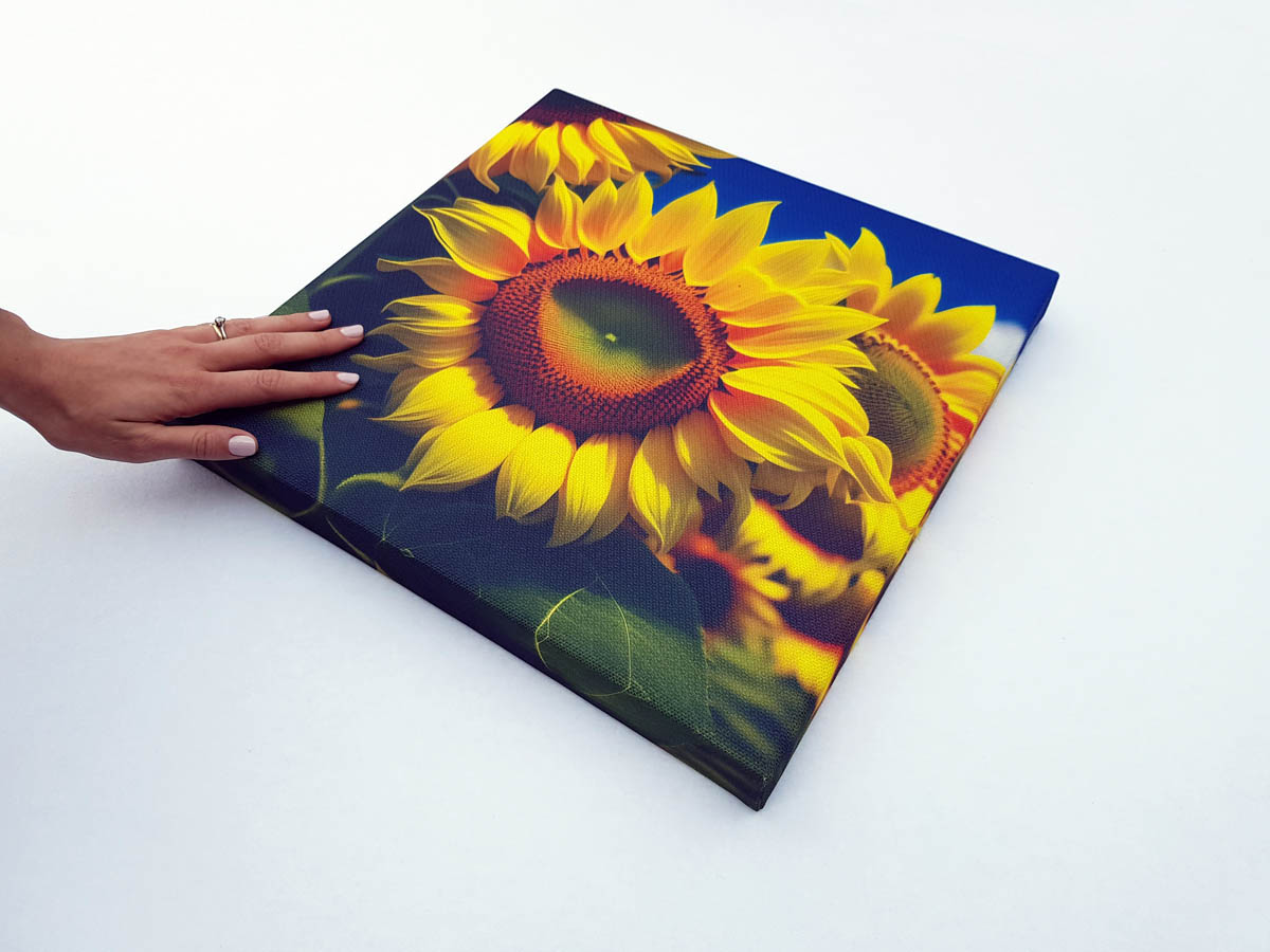 Sound-absorbing-photo-panel-HD-Graphics-by-Acustico